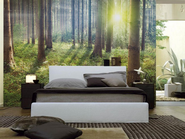 Sunset in the Forest Wall Mural by PIXERS 650x487 Amazing Wall Murals That Will Make Your Room Look Bigger